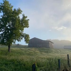 Meet your Posher, Stace